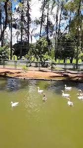 Lago do Country Club