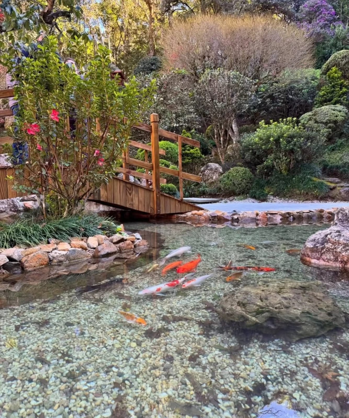 Lago das Carpas – Recanto Japonês