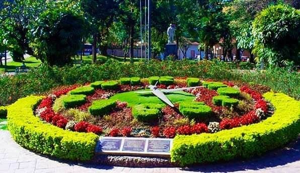 Relógio Floral